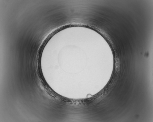 X0000115000580200912071142