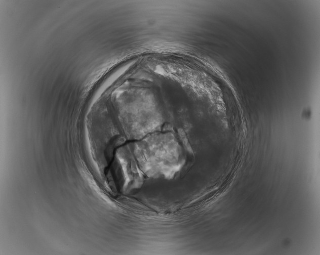 X0000115000581200912071142