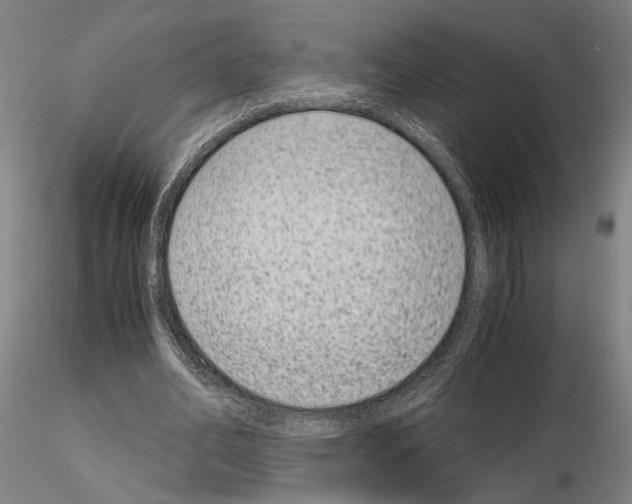 X0000115000582200912071142