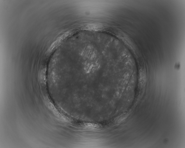 X0000115000585200912071142