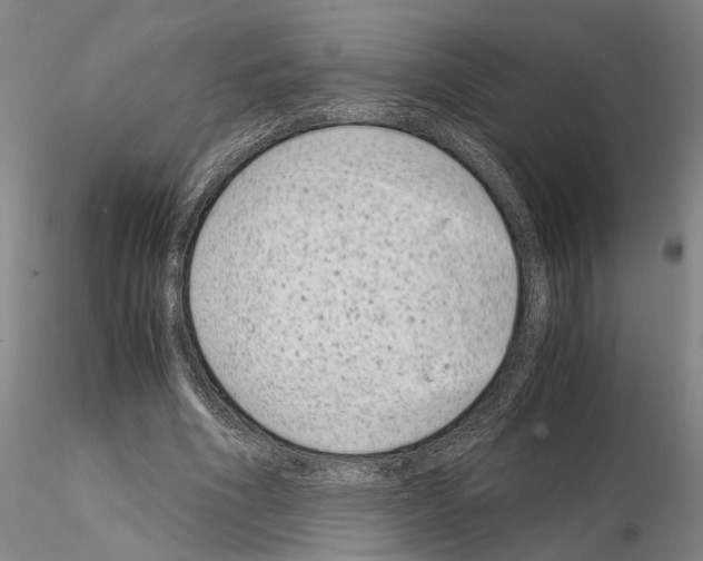 X0000115000586200912071142