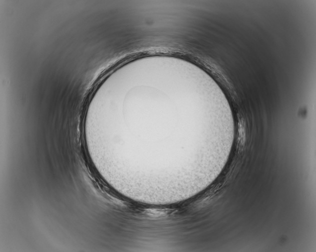 X0000115000588200912071142