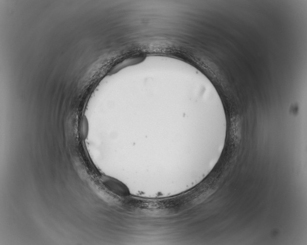 X0000115000589200912071142