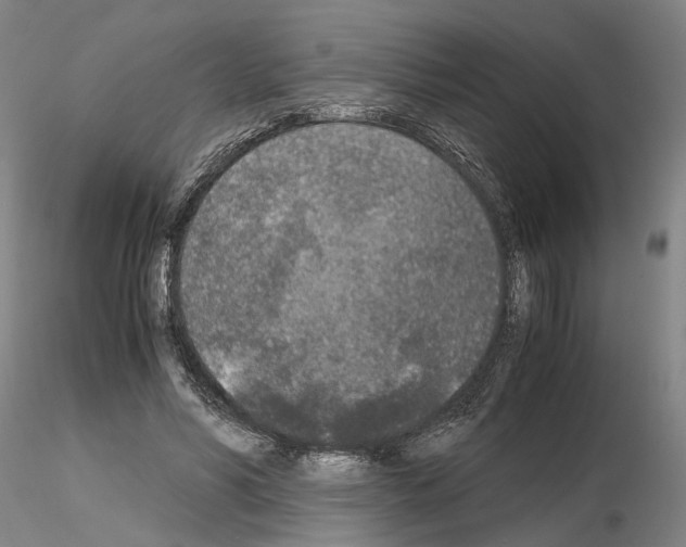 X0000115000590200912071142