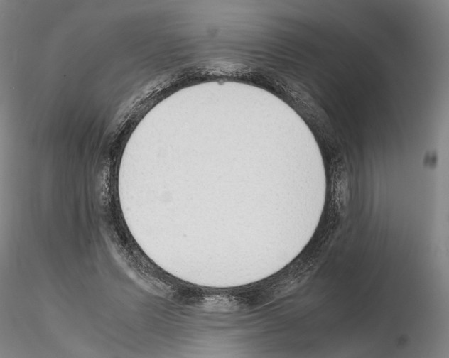 X0000115000591200912071142