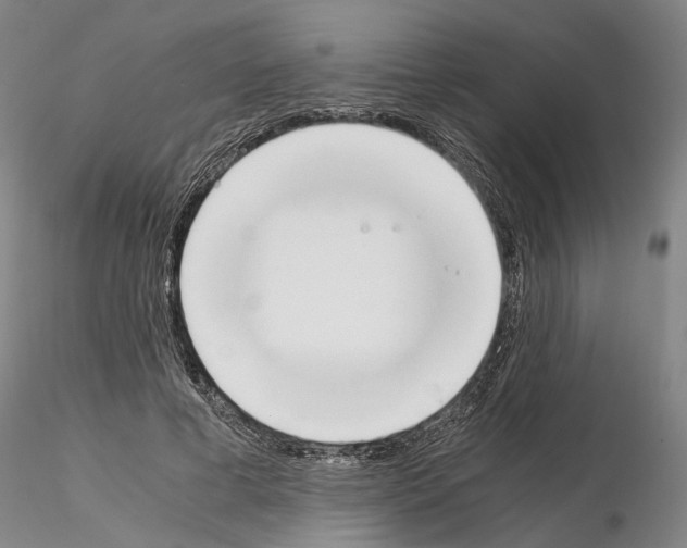 X0000115000593200912071142