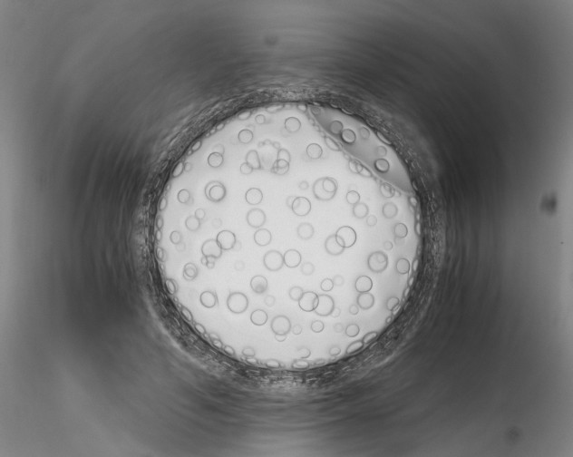 X0000115000594200912071142