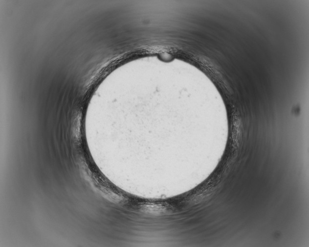 X0000115000596200912071142