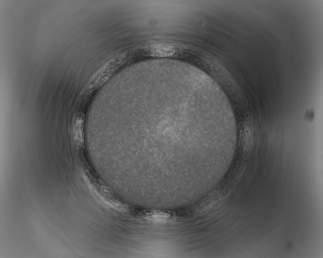 X0000115000598200912071142