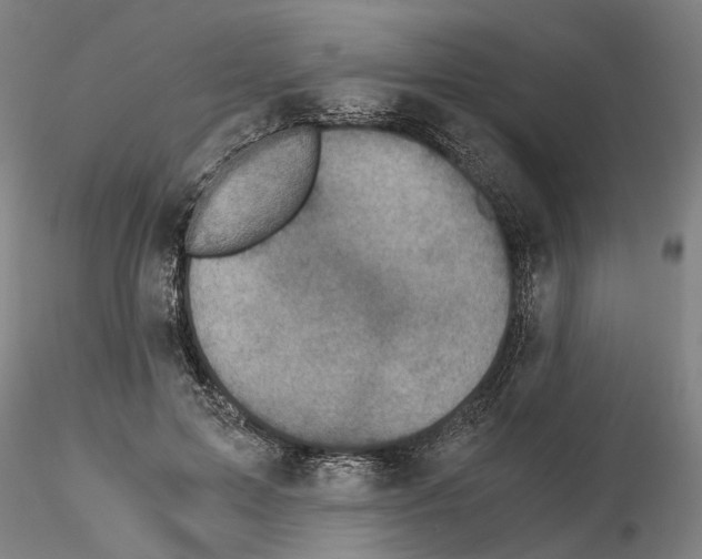 X0000115000599200912071142