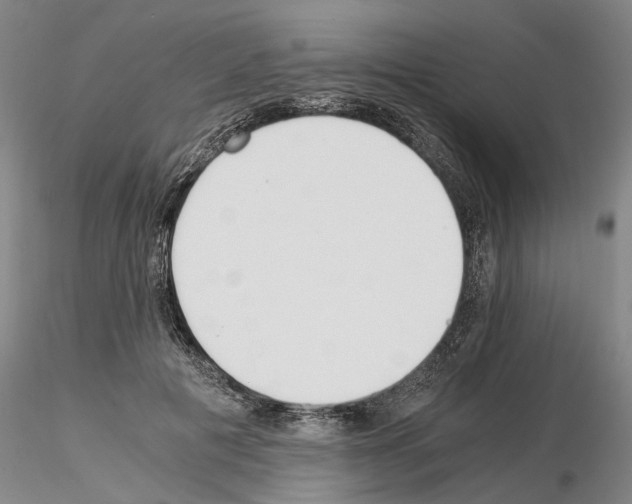 X0000115000601200912071142