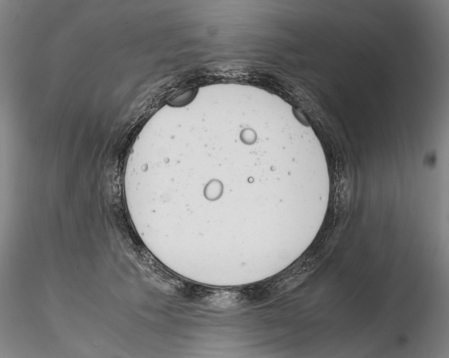 X0000115000609200912071141