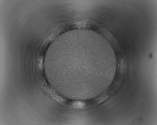 X0000115000610200912071141