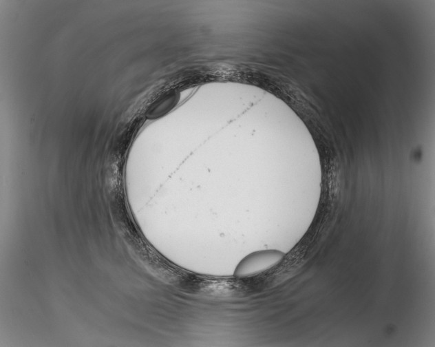 X0000115000611200912071141