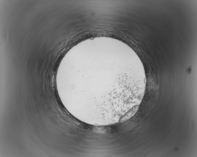 X0000115000613200912071141