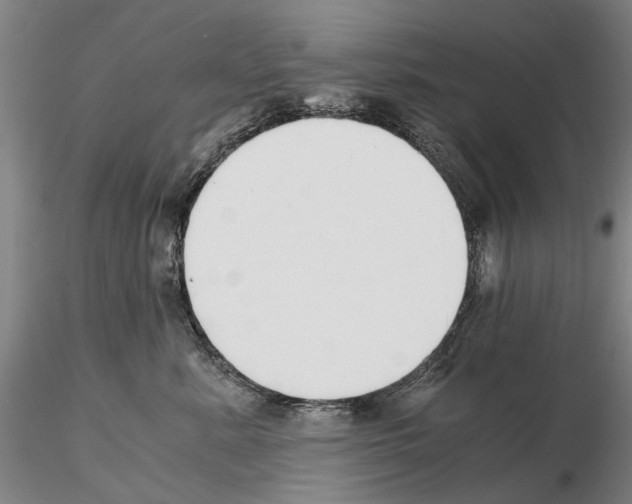 X0000115000619200912071141