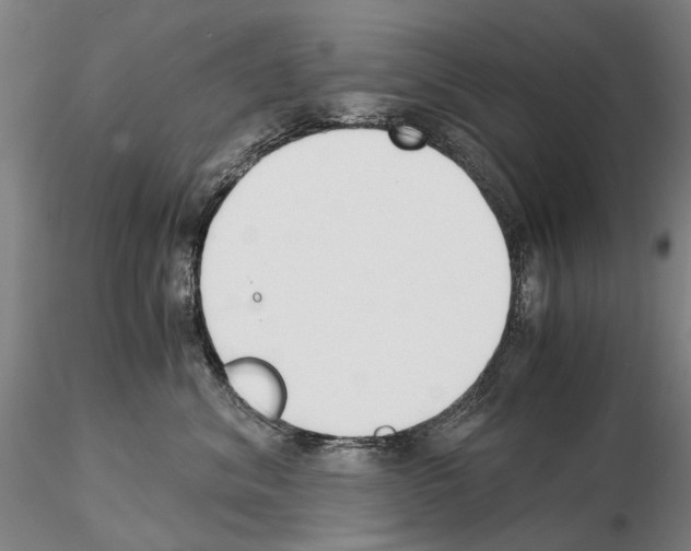 X0000115000620200912071141