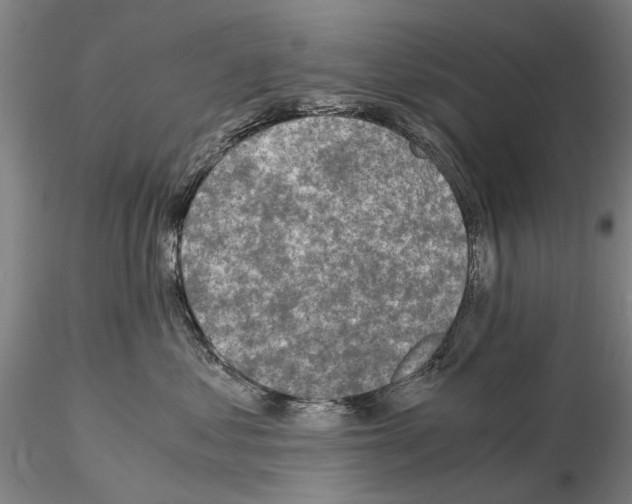 X0000115000621200912071141