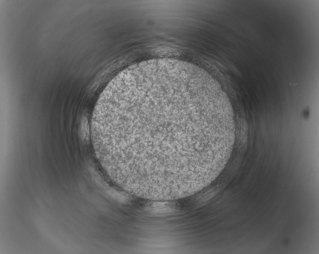 X0000115000622200912071141