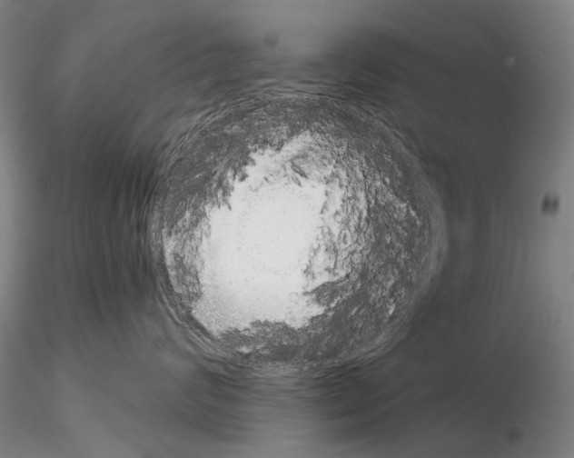 X0000115000624200912071141