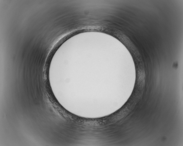 X0000115000628200912071140