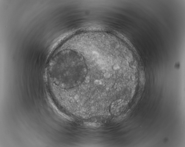 X0000115000629200912071140