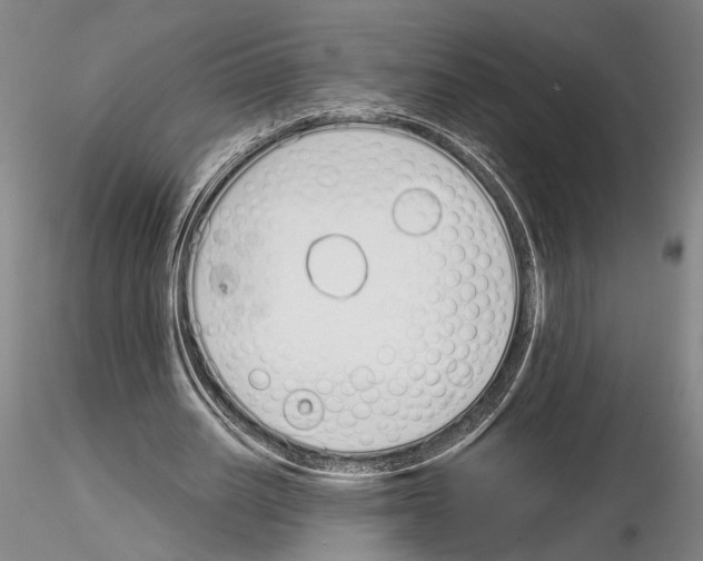 X0000115000630200912071140