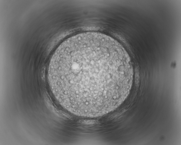 X0000115000631200912071140