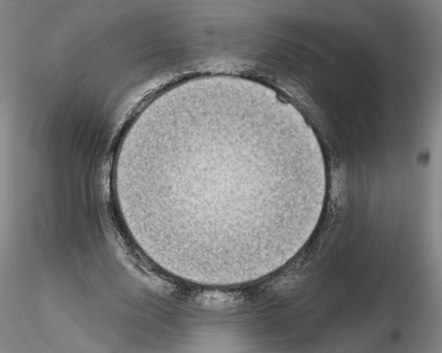 X0000115000632200912071140