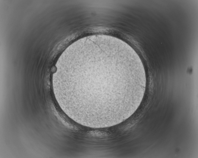 X0000115000633200912071141