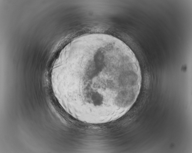 X0000115000634200912071141