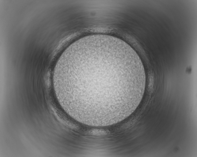 X0000115000636200912071141