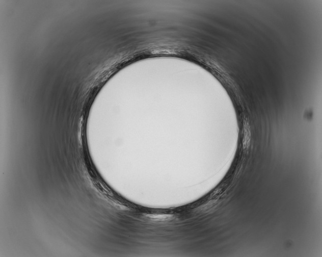 X0000115000637200912071141