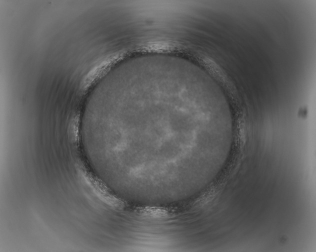 X0000115000640200912071141