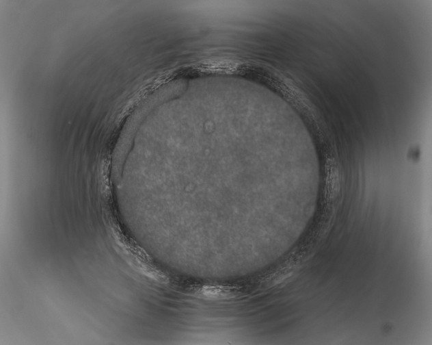 X0000115000641200912071141