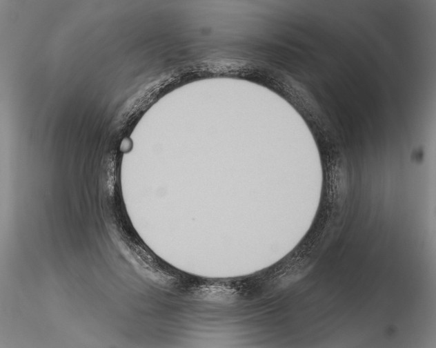 X0000115000644200912071141