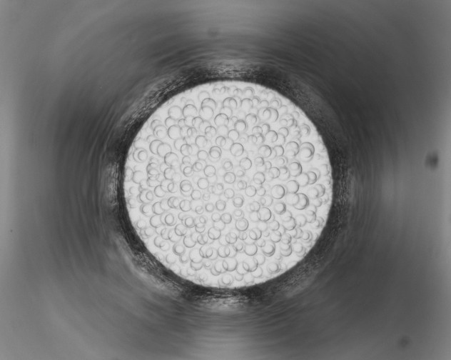 X0000115000646200912071141