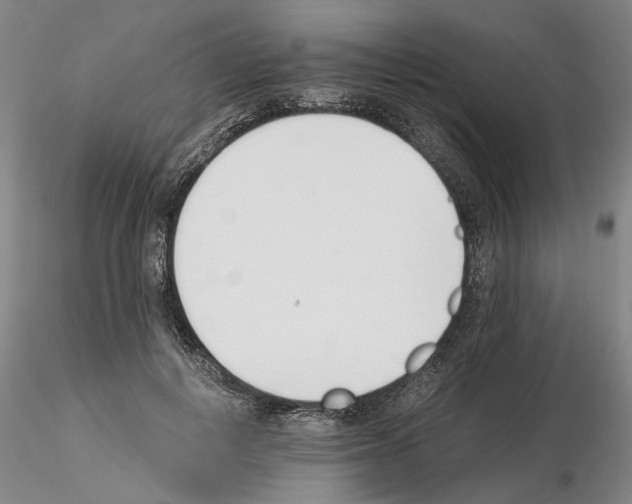 X0000115000648200912071141