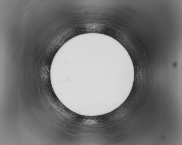 X0000115000649200912071141