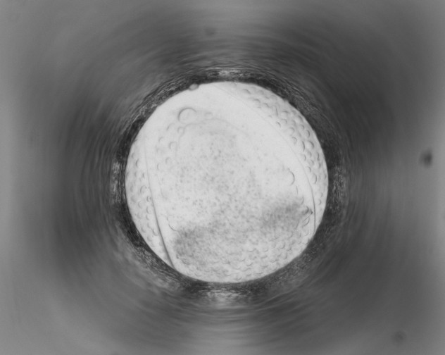 X0000115000650200912071141