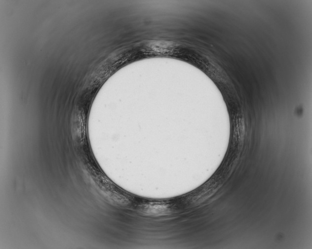 X0000115000651200912071141