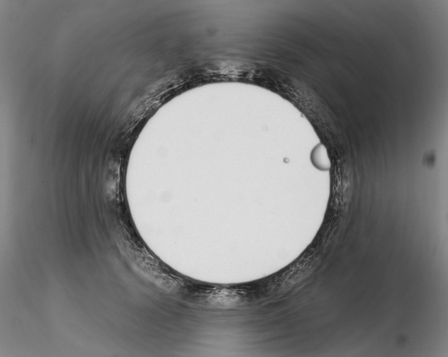 X0000115000656200912071141