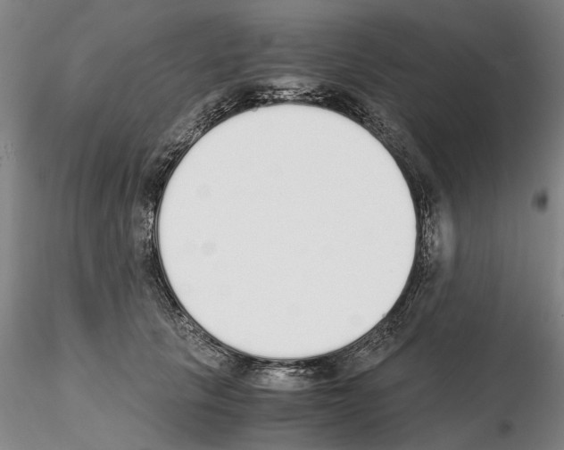 X0000115000657200912071141