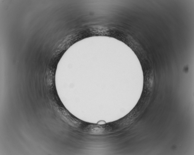 X0000115000658200912071141