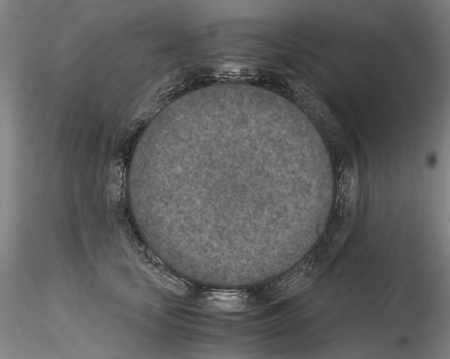 X0000115000659200912071141