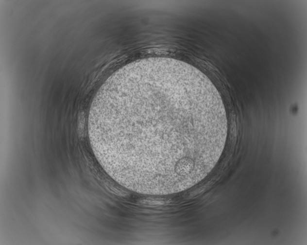 X0000115000661200912071141