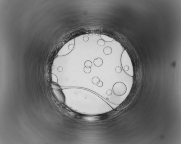 X0000115000662200912071141