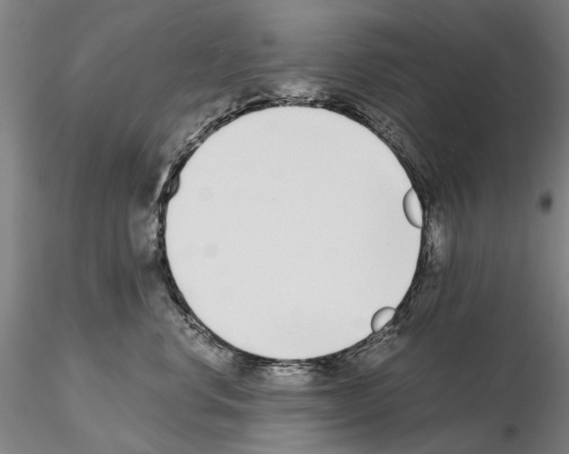 X0000115000668200912071141