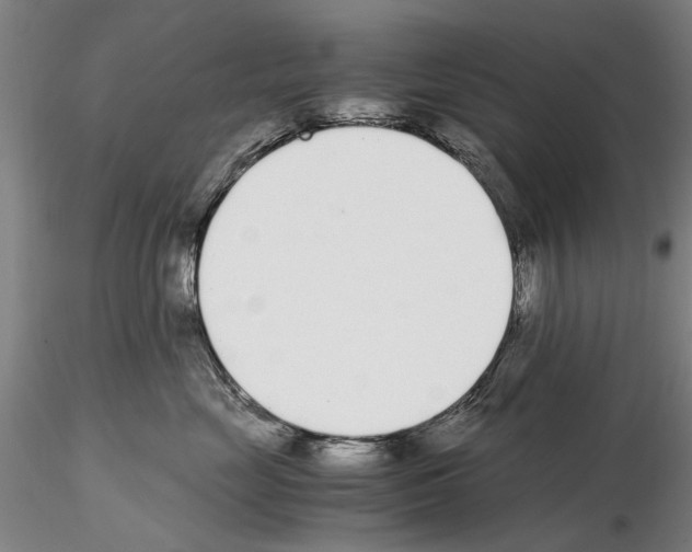 X0000115000669200912071141