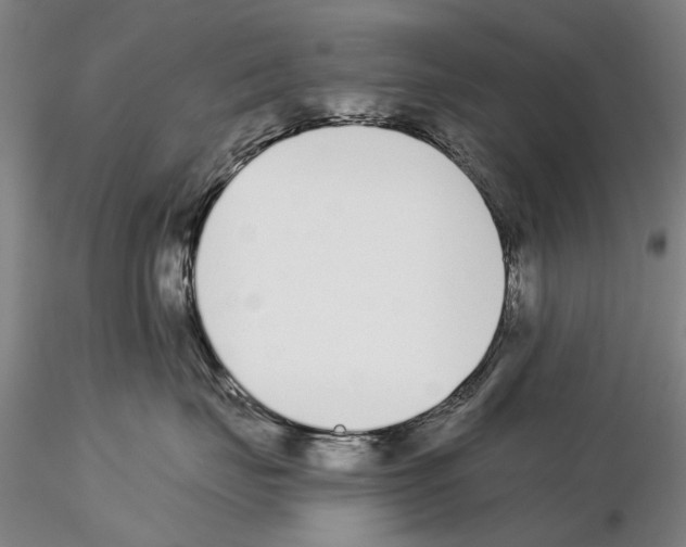 X0000115000671200912071141